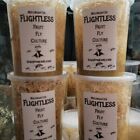 Flightless Fruit Fly 4 PACK cultures  Dart Frog Food Reptile Food FREE SHIPPING