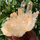2.99LB A+++Large Natural white Crystal Himalayan quartz cluster /mineralsls