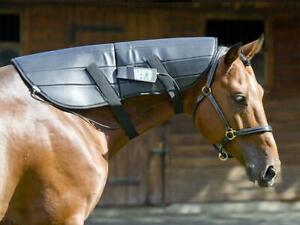PEMF HORSE EQUINE NECK WRAP PULSED ELECTROMAGNETIC FIELD INJURY HEALTH TREATMENT