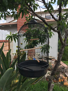 Round Dome-Top Bird Flight Hook Cage Finches Canary Cockatiel Parakeet LoveBirds