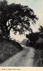 Road to Spirit Lake IA Iowa Dickinson County c1910 Postcard