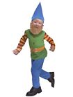 Toddler Lil Bearded Boys Gnome Costume Garden Troll 2T