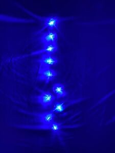 Garden Collection 10 LED Battery Operated Blue Butterfly String Lights