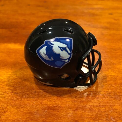 Eastern Illinois Panthers custom pocket pro helmet FCS