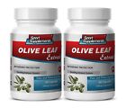 Olive Leaf Capsules - Olive Leaf Extract 500mg - Supports Immune System Pills 2B
