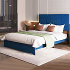 TAUS Queen Size Bed Frame Upholstered Platfrom with Velvet Tufted Headboard