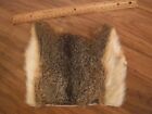 fly tying material Squirrel Fox Tail skin patch Natural Hair/Fur tails/wings/dub