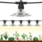 Outdoor Waterproof LED Grow Light Full Spectrum for Indoor Plants Veg Bloom IR