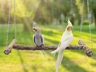 Large Bird Perch Swing Toy Natural Pepper Wood Parrot Perch Stand Toy Hangabl...