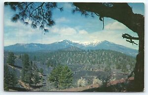 New ListingSan Francisco Peaks Flagstaff Arizona AZ UNP Chrome Postcard