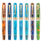 Asvine P20 Piston Resin Fountain Pen EF/F/M Nib Smooth Writing Office Gift Pen