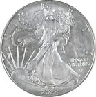 Better Date 2022 American Silver Eagle 1 Troy Oz .999 Fine Silver *754