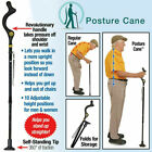 Retractable Straight Posture Cane Walking Stick Camping Travel Trekking Pole USA