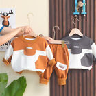 Baby Boy Clothes Suit Children T-Shirt Pants Set Kid Toddler Casual Sport Outfit