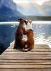 Two Dogs on Dock  Lake and Rainbow Anniversary Card for Husband or Wife
