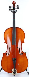 Eastman SWVC100 Student Cello Outift - 4/4 Size