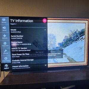 New ListingLG 55 inch OLED TV - Model: OLED55CXPUA - Used