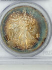 1986 American Silver Eagle with Rainbow Toning - PCGS MS-67