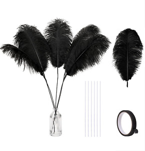 Holmgren Black Ostrich Feathers Bulk - 20Pcs Making Kit 22 Inch Natural Ostrich