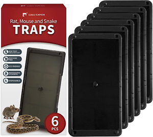 Super Glue Traps 6 Pack for Mice & Snakes, Larger, Heavier Sticky Traps