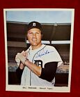 1970s BILL FREEHAN Signed Team Issued Portrait PHOTO 1968 WS Baseball Tigers vtg