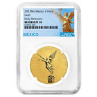 2023 Reverse Proof Gold Mexican Libertad Onza 1 oz NGC PF70 ER Mexico Label