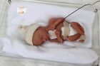Reborn Silicone Baby Doll Full Body Boy Memorial Baby Keepsake 15-16 Week Fetus