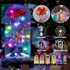 LED Preserved Flowers Valentines Day Gifts Birthday for Women Rose in Glass Dome