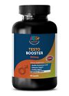 testosterone stack - TESTO BOOSTER 855mg 1B - muscle growth factor