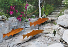 Large Fish Garden Stakes, Set of 3 Trout Fishes, Rusty Metal Garden Art Decor