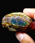 Ethopian opal rough big large jumbo size 245 carat collector piece Raw Opal /