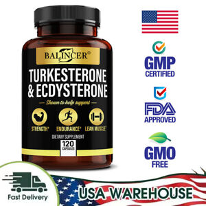 Ecdysterone 95% Supplement for Maximum Muscle Growth and Recovery