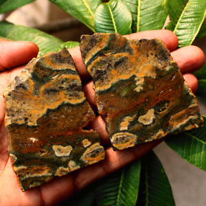 2 Pcs Natural Ocean Jasper Matching Raw Crystal Slice Druzy Healing Mineral Slab