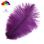 100 pcs Ostrich Feathers Femina 15-20 cm/6-8in wedding centerpieces decor crafts