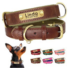 PERSONALIZED Pet Collar Leather Soft Padded Custom Dog Cat Engraved Name Collars