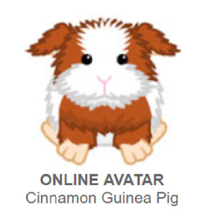 Webkinz Classic Cinnamon Guinea Pig *Code Only*