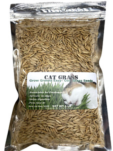 Cat Grass Oat Seeds 1LB(3,000+ Seeds)-Grow Your Pets Garden!