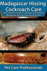 Madagascar Hissing Cockroach Care: The Complete Guide to Caring for and Keeping