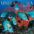 2024 Square Wall Calendar, Under the Sea, 16-Month Natural World Theme 12x12