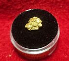 California Natural Gold Nugget with quartz .2.1 Grams  weight in a Gem jar w/lid