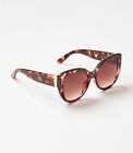 Ann Taylor Loft ~ Oversized Cateye Sunglasses - Tortoise Brown - NWT