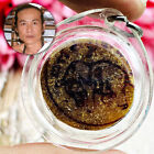 Leather Elephant Sacred Skin Chang Pasomklong Be2540 Ac Nikom Thai Amulet #16981