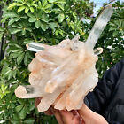 2.61LB A+++Large Natural white Crystal Himalayan quartz cluster /mineralsls