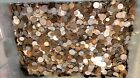 5 lbs mixed Foreign coins -Bulk World Coins by the pound- Good mix of countries