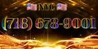 718 NYC Easy Phone Number 718-678-9001 UNIQUE NEAT VANITY New York city