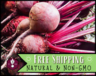 550+ Beet Seeds [Detroit Dark Red] Vegetable Gardening Seed, Heirloom, Non-GMO