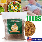 11LBS Non-GMO Dried Mealworms Fit Wild Bird Food Treats Chickens Reptile Turtles