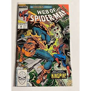 Web of Spider-Man 48