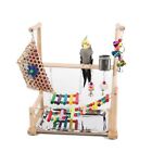 Wooden Parrot Playground for Parrots - Perfect Bird Perch Stand, Large Bird