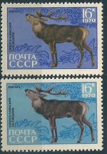 10122 Russia USSR Fauna Animal Mammal Game Reindeer MNH ERROR Colour Variety